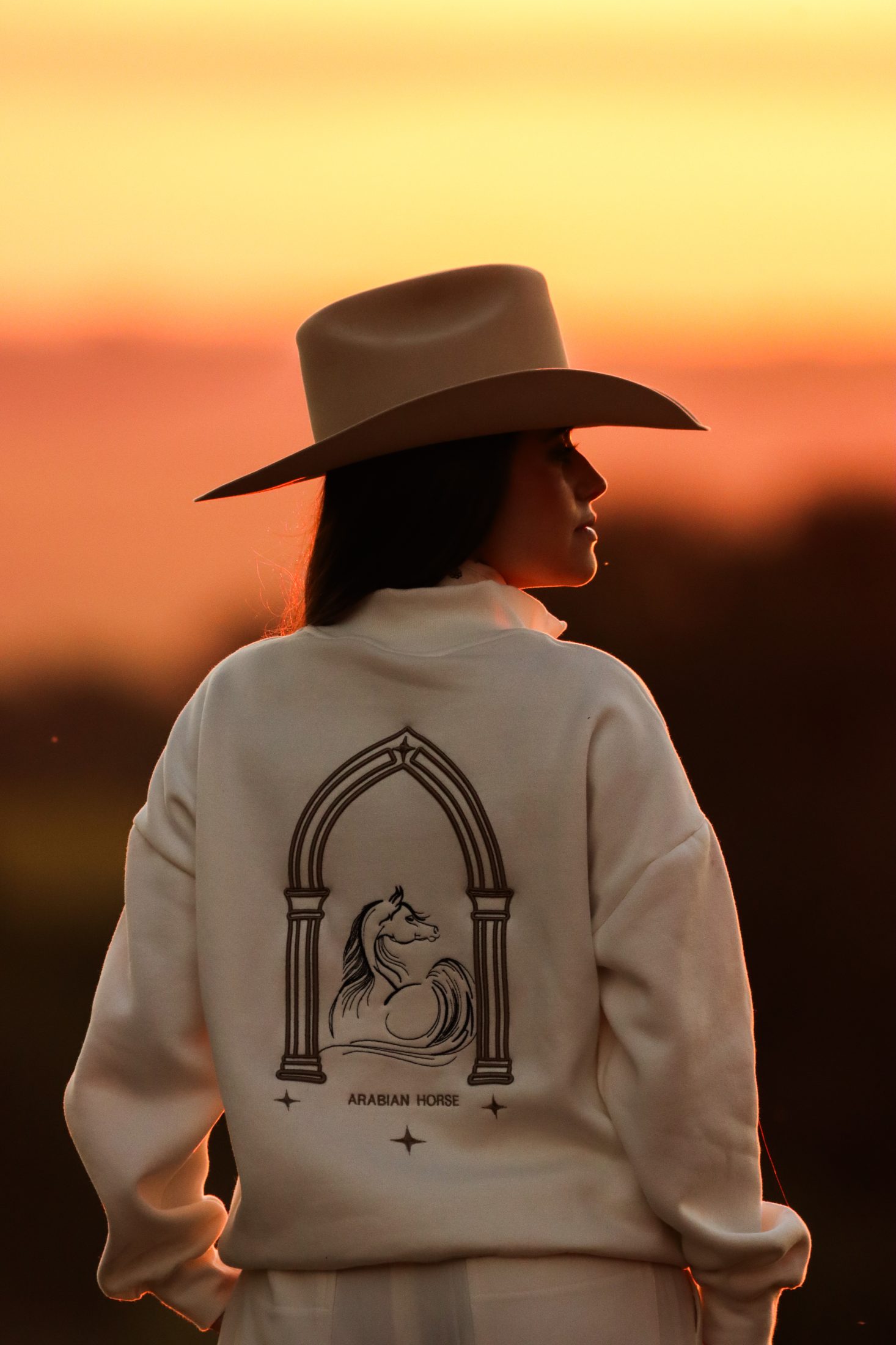 Moletom Arabian Horse no pôr do sol